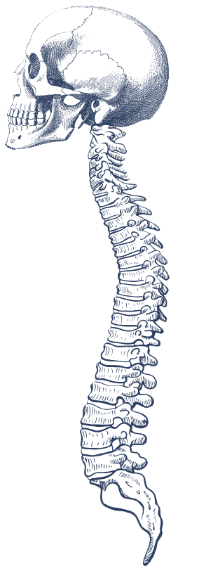 Prix séances de Benjamin Ravaud Osteopathe Mouans Sartoux